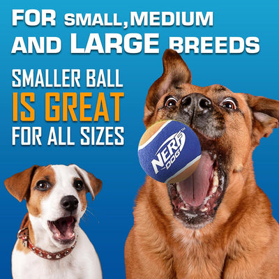 Nerf Dog Ball Launcher Set