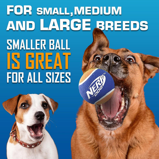 Nerf Dog Ball Launcher Set