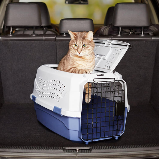 Portable Hard-Sided Dog Travel Carrier