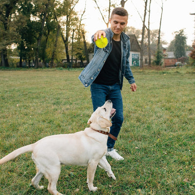 3.5" Spiky Squeaky Dog Balls I 6-Pack