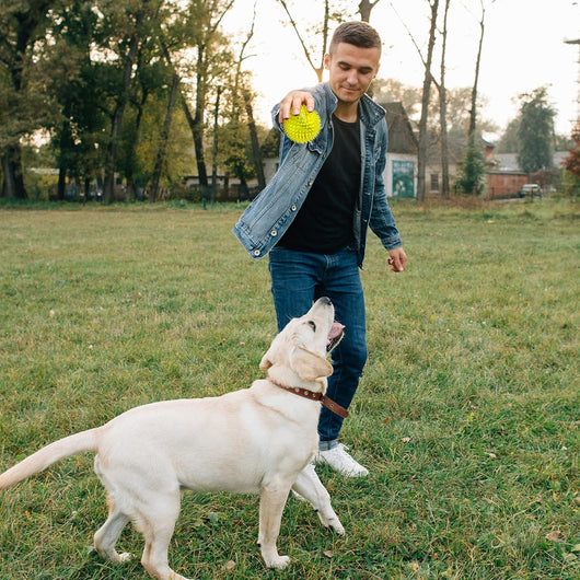 3.5" Spiky Squeaky Dog Balls I 6-Pack