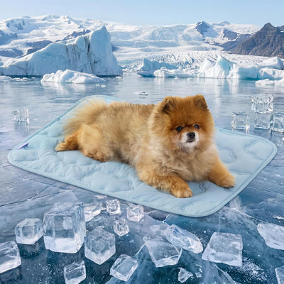 LE SURE Cooling Dog Mat XL Blue
