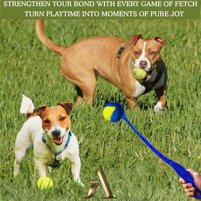Long Distance Dog Ball Thrower