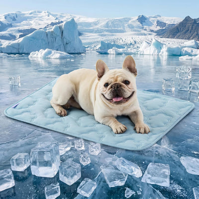 LE SURE Cooling Dog Mat XL Blue