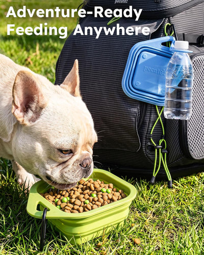 Portable Collapsible Silicone Dog Bowls for Travel