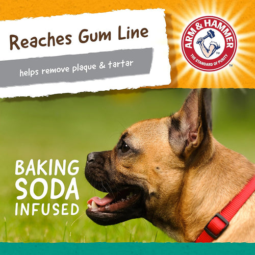 Peanut Butter Dog Dental Chew Toy