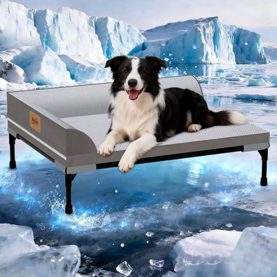 Cooling Dog Bed I Elevated Orthopedic Pet Bed