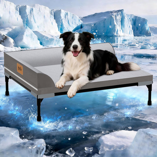 Cooling Dog Bed I Elevated Orthopedic Pet Bed