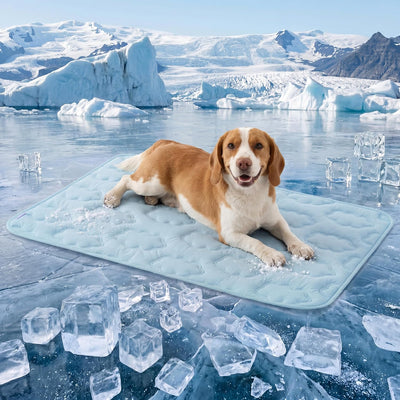 LE SURE Cooling Dog Mat XL Blue