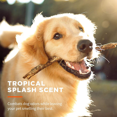 Antibacterial Dog Wipes For Daily Grooming