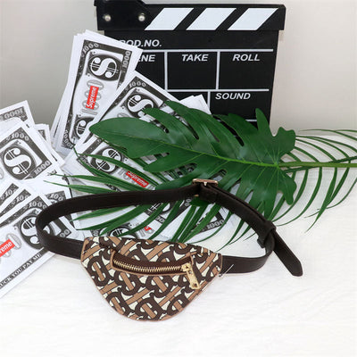 Pet Posh Bag