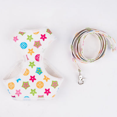 Amarillis Harness And Throwie Leash