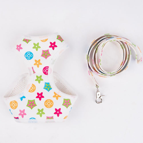 Amarillis Harness And Throwie Leash