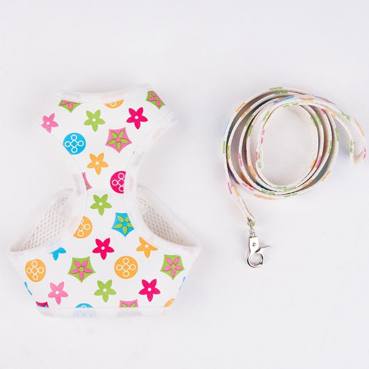 Amarillis Harness And Lo-fi Leash