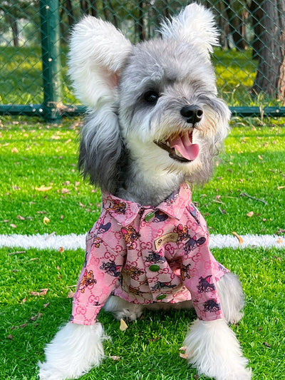 Pet Dog Heritage Clothes
