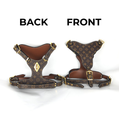 LV Hero Harness & Leash Edgy Set