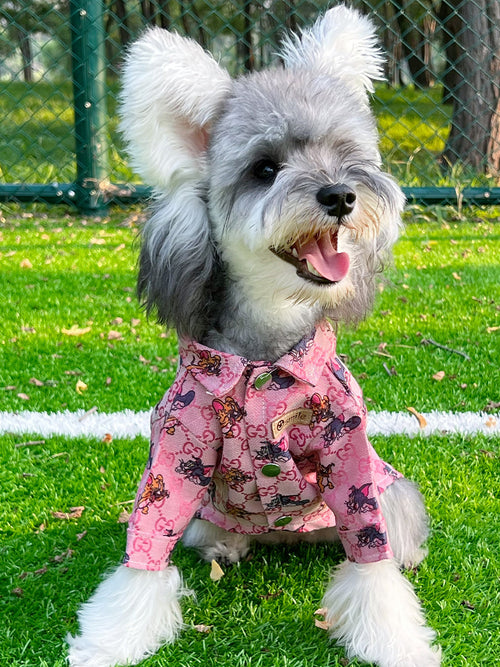 Big Dog GG Breezy Summer Shirt