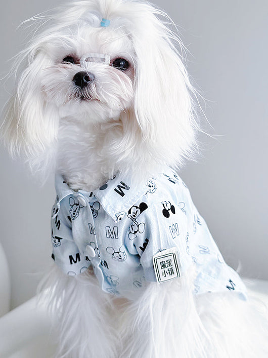 Big Dog Happy Summer Breeze Shirt