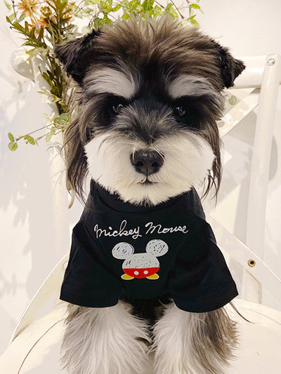 Dog Fresh Air Matching Clothes