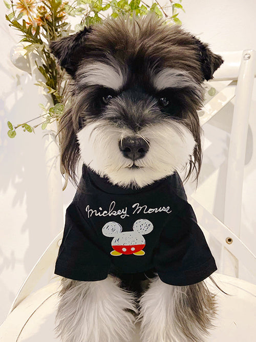 Dog Fresh Air Matching Clothes