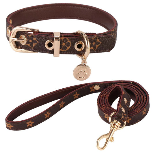 Olivia Collar & Leash Dreamy Set