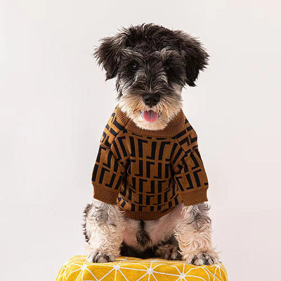 Fency Dog Layered Sweater