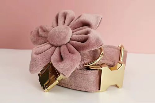 Velvet Luxe Flash Set
