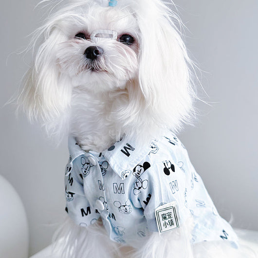 Big Dog Happy Summer Breeze Shirt