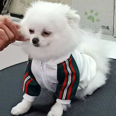 GG Pup Zip Up Prime Jacket