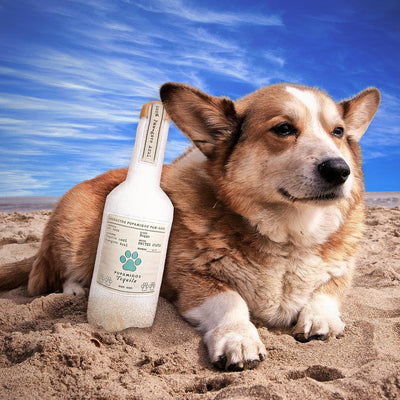 Funny Plush Squeaky Dog Toy | Liquor Bottle Parody Dog Chew Toy