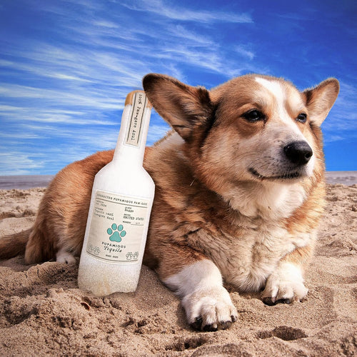 Funny Plush Squeaky Dog Toy | Liquor Bottle Parody Dog Chew Toy