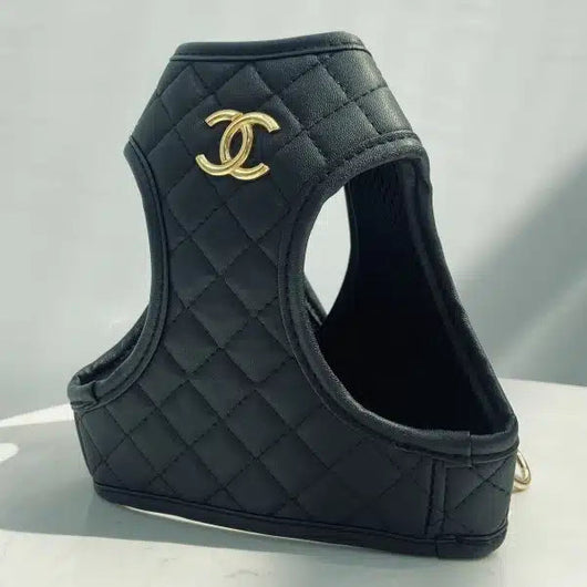 CC Luxury Step Harness & Golden Leash