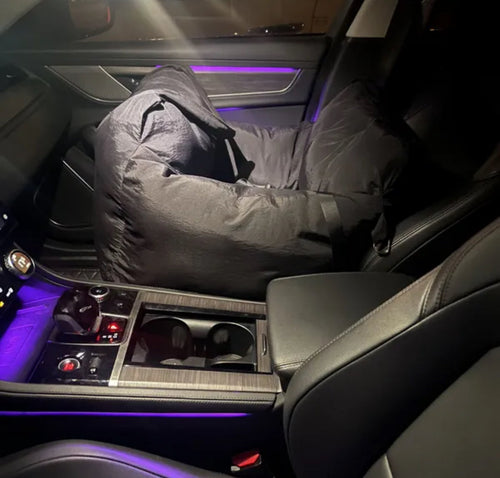 Panda Car Fire Bed