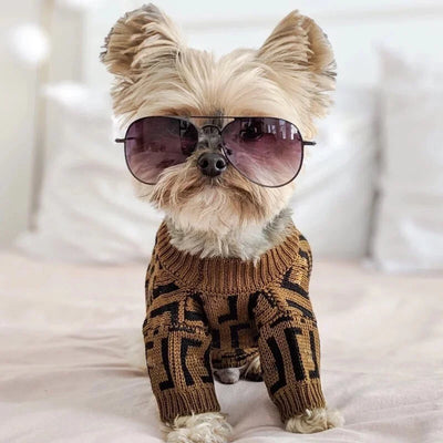 Fency Dog Layered Sweater