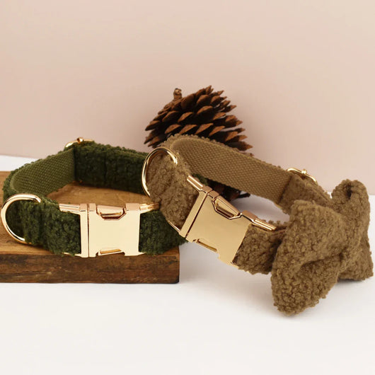 Teddy Bow Collar And Leash Vintage Set