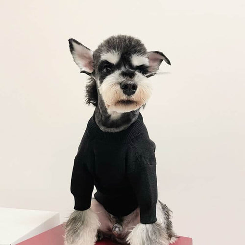 Doggie Moody Clothes