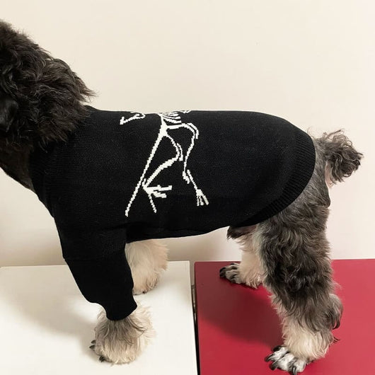 Doggie Moody Clothes