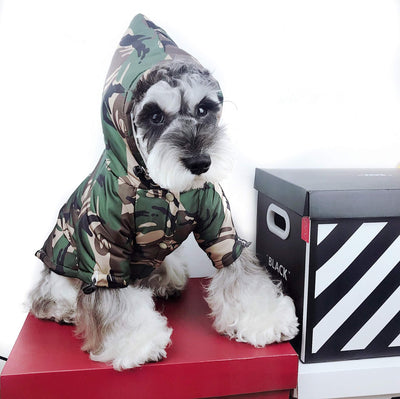 Pfrench Bulldog Dog Jackets For Winter