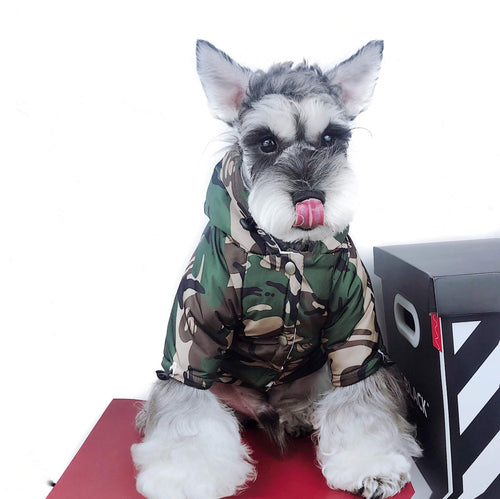 Pfrench Bulldog Dog Jackets For Winter