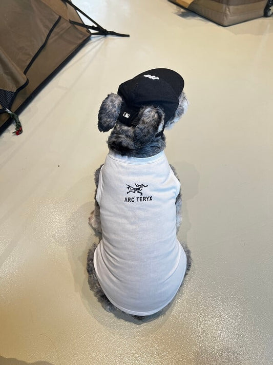Cute Dog Lo-fi Clothes