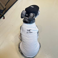 Cute Dog Lo-fi Clothes