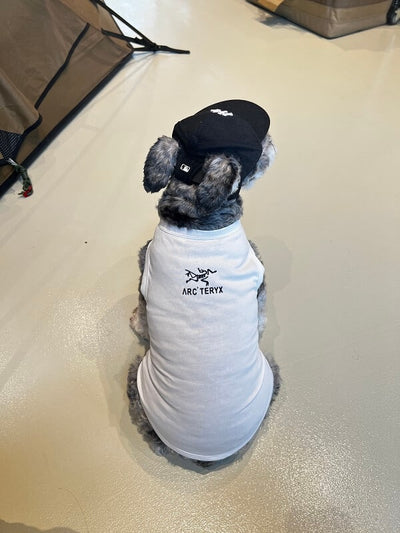 Cute Dog Lo-fi Clothes