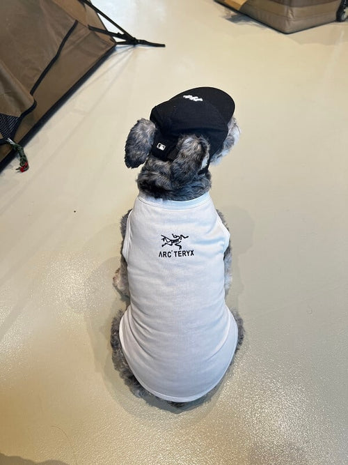Cute Dog Lo-fi Clothes