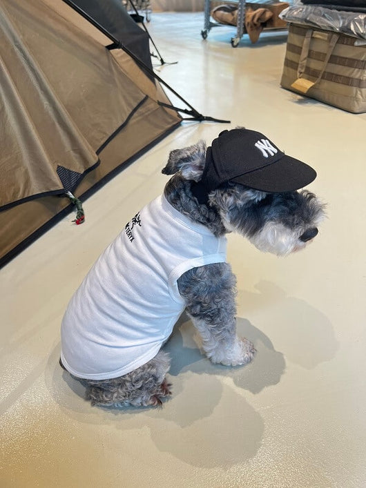Cute Dog Lo-fi Clothes