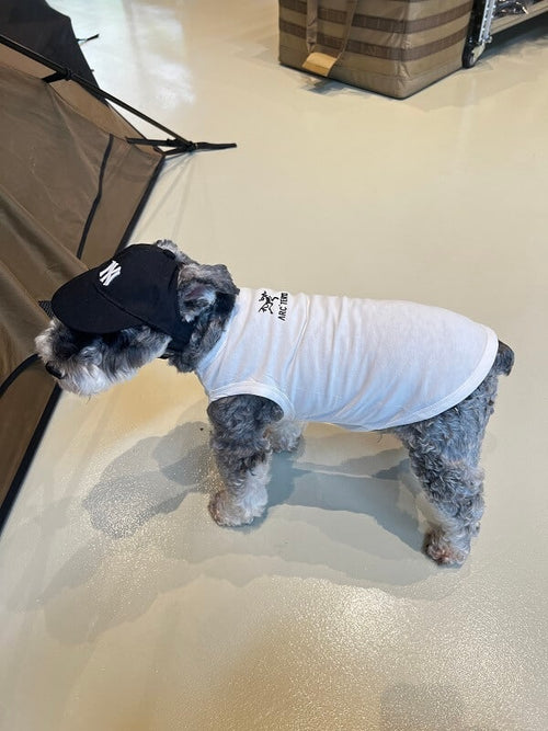 Cute Dog Lo-fi Clothes