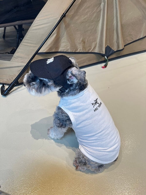 Cute Dog Lo-fi Clothes