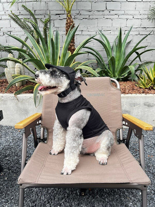 Cute Dog Lo-fi Clothes