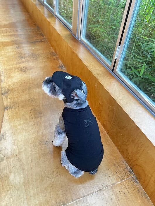 Cute Dog Lo-fi Clothes