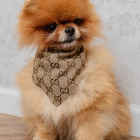 Scarf Giogio Unseen Brown