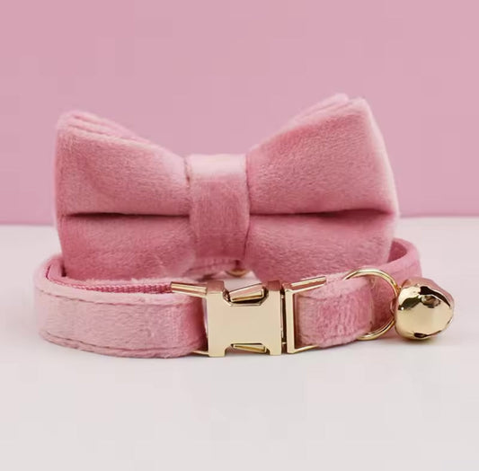 Velvet Charme Collars And Bow Fresh Ties